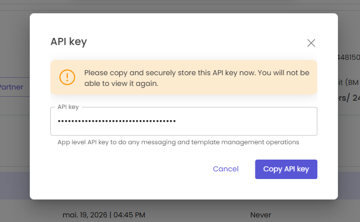 Modal com a API Key gerada e botão Copy API key