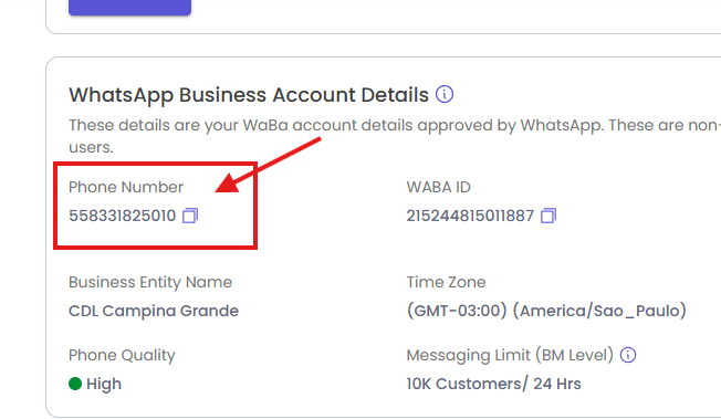Campo número de telefone em destaque na aba Account